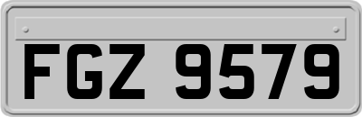 FGZ9579