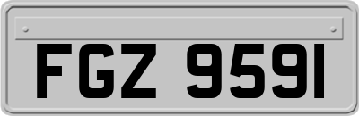 FGZ9591