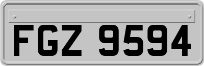 FGZ9594