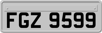 FGZ9599