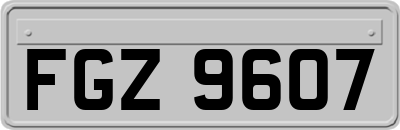 FGZ9607