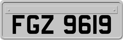 FGZ9619