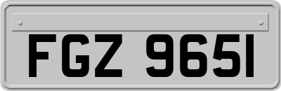 FGZ9651