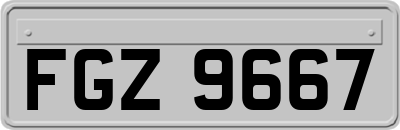 FGZ9667