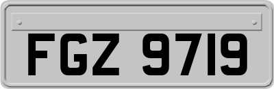 FGZ9719
