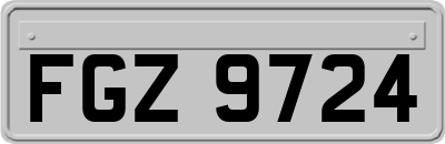 FGZ9724