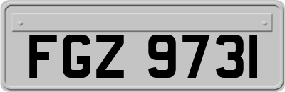 FGZ9731