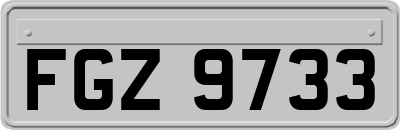 FGZ9733