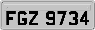 FGZ9734