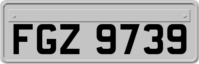 FGZ9739