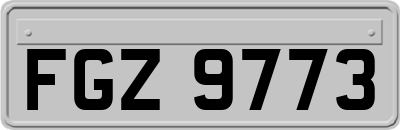 FGZ9773