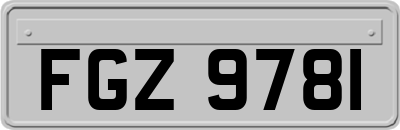FGZ9781