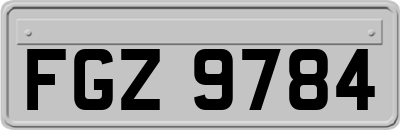 FGZ9784