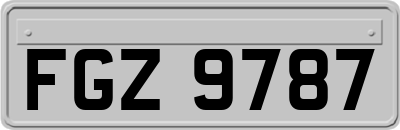 FGZ9787