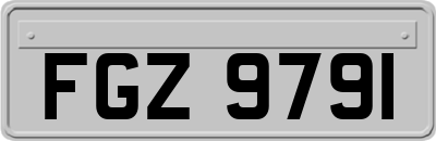 FGZ9791