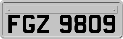 FGZ9809