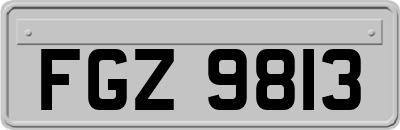 FGZ9813
