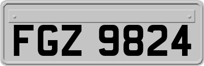 FGZ9824