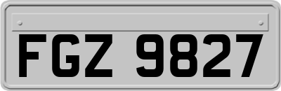 FGZ9827