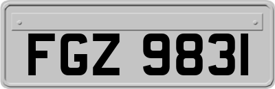 FGZ9831