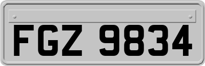 FGZ9834