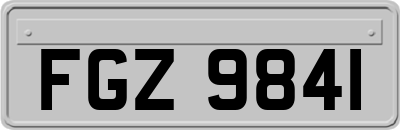 FGZ9841