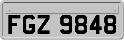 FGZ9848