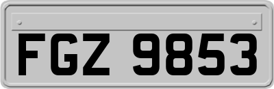FGZ9853