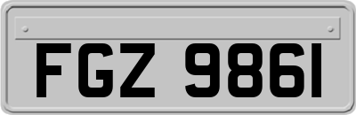 FGZ9861