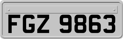 FGZ9863