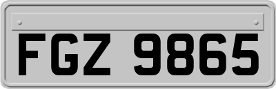 FGZ9865