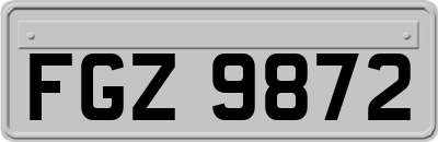 FGZ9872