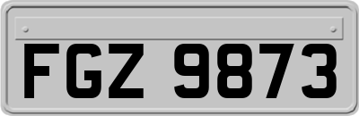 FGZ9873