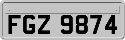FGZ9874