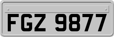 FGZ9877
