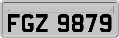 FGZ9879