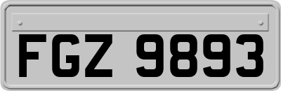 FGZ9893