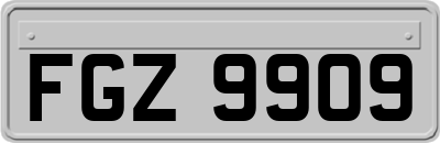 FGZ9909