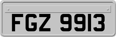 FGZ9913