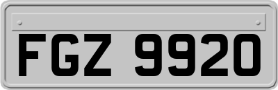 FGZ9920