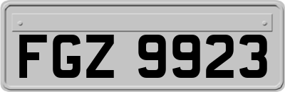 FGZ9923