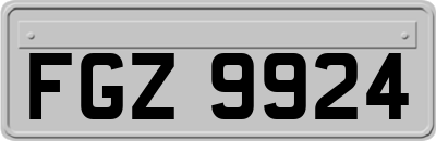 FGZ9924
