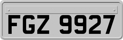 FGZ9927