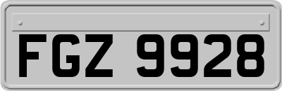 FGZ9928