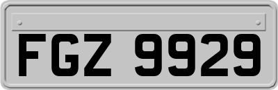 FGZ9929