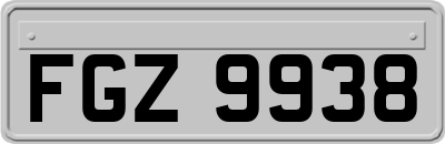 FGZ9938