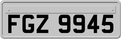 FGZ9945