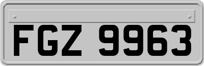 FGZ9963