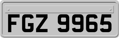 FGZ9965