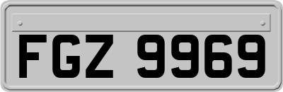 FGZ9969